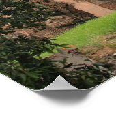 Poster Les bains de Caracalla (Coin)