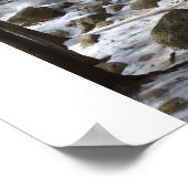 Poster Les bains de Diana (Coin)