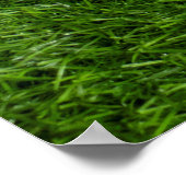 Poster Les balles de golf sont sur de l'herbe verte (Coin)