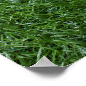 Poster Les balles de golf sont sur de l'herbe verte (Coin)