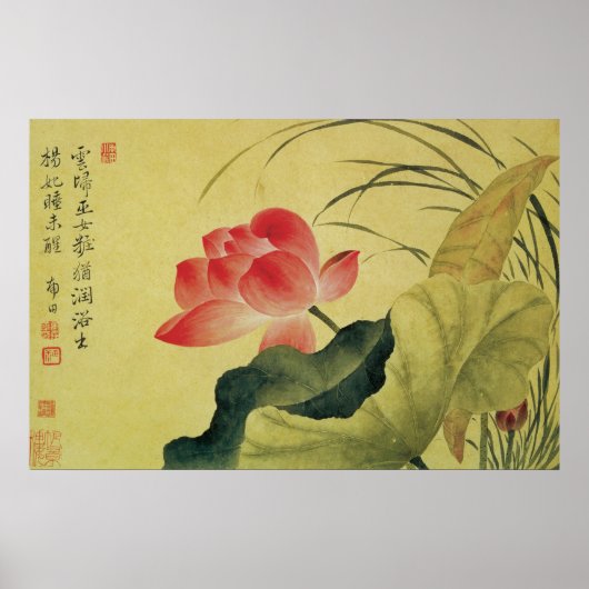 Poster Les Beaux Arts Chinois Fleurs Lotus (Devant)