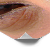 Poster Les bijoux de la nature (Coin)