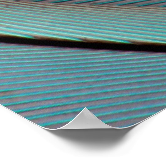 Poster Les Bleus (Coin)