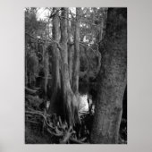 Poster Les Bois (Devant)