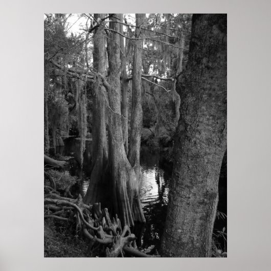 Poster Les Bois (Devant)