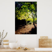 Poster Les bois au printemps (Cuisine)