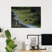Poster Les canards se tiennent dehors (Bureau à domicile)