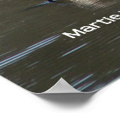 Poster Les canards se tiennent dehors (Coin)