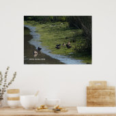 Poster Les canards se tiennent dehors (Cuisine)
