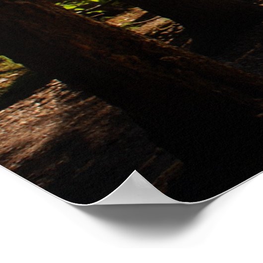 Poster Les Canoës Prêts (Coin)