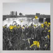 Poster Les cascades (Devant)