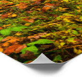 Poster Les cascades | Cascades de Triberg, Allemagne (Coin)