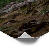 Poster Les cascades | Chutes Havasu au coucher du soleil (Coin)