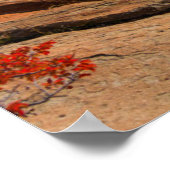 Poster Les cascades | Fitz Roy Mountain, Argentine (Coin)