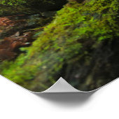 Poster Les cascades | Grotto Falls, Oregon (Coin)