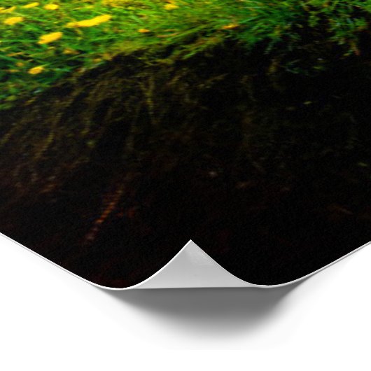 Poster Les cascades | Kirkjufellsfoss, Islande (Coin)