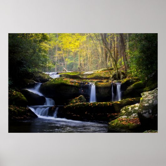 Poster Les cascades | Parc national de Great Smoky Mounta (Devant)