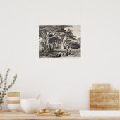 Poster Les Cèdres du Liban, gravés par Freeman (sépia (Cuisine)