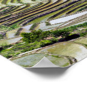 Poster Les célèbres terrasses de riz yuanyang - Yunnan, C (Coin)