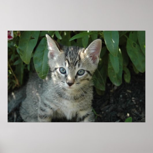 Poster Les cerfs-volants sont mignons (Devant)