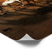 Poster Les chameaux dans le désert (Coin)