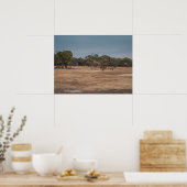 Poster Les chameaux du désert en Australie (Cuisine)