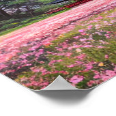 Poster Les Champs Roses Idylliques (Coin)