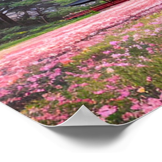 Poster Les Champs Roses Idylliques (Coin)