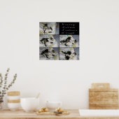 Poster Les chatons en jeu (Cuisine)