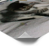 Poster Les chatons en jeu (Coin)