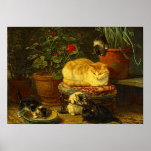 Poster Les chatons en jeu
