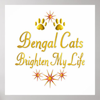 Poster Les chats du Bengale éclairent ma vie