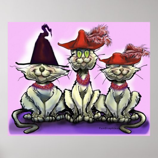 Poster Les chats en Casquette amusant (Devant)