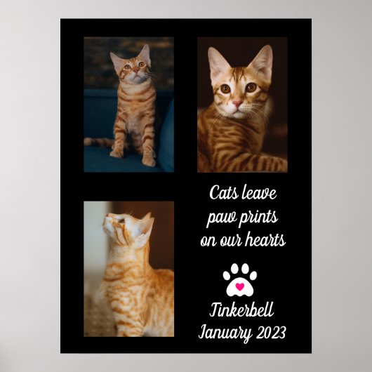 Poster Les chats laissent des empreintes | Collage de pho (Devant)
