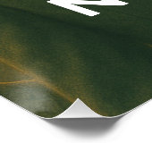 Poster Les Chats Ne Payent Pas D'Impôts : La Boucle Felin (Coin)