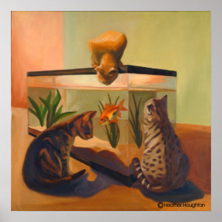 Poster Les chats regardent le poisson
