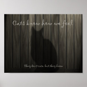 Poster Les chats savent ce que nous ressentons