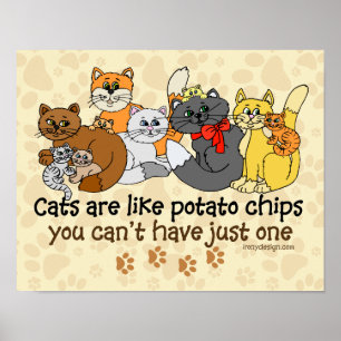 Poster Les chats sont comme des chips