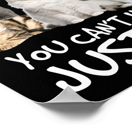 Poster Les chats sont comme des chips de pommes de terre (Coin)