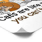 Poster Les chats sont comme des chips de pommes de terre (Coin)