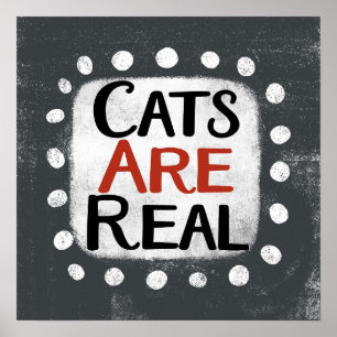 Poster Les chats sont de véritables objets d'art