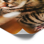 Poster Les Chats Sont Les Meilleurs 85 (Coin)