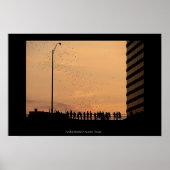 Poster Les chauves-souris d'Austin (Devant)