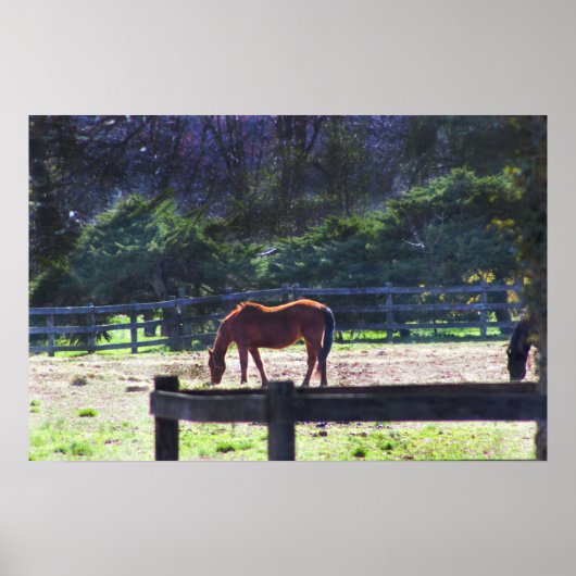 Poster Les chevaux à l'affiche de la ferme (Devant)
