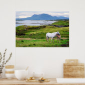 Poster Les Chevaux du Connemara | Galway, Irlande (Cuisine)