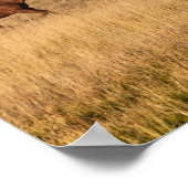 Poster Les Chevaux Juste En Dehors Du Parc National De Gr (Coin)