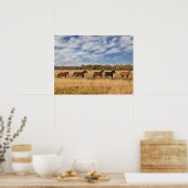 Poster Les Chevaux Juste En Dehors Du Parc National De Gr (Cuisine)