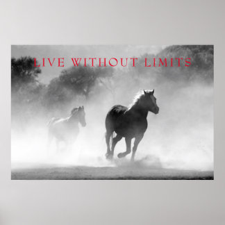 Poster Les Chevaux Motivationnels Vivent Sans Limites