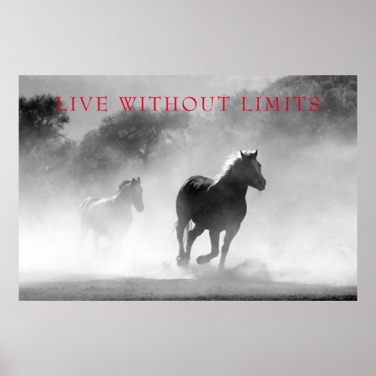 Poster Les Chevaux Motivationnels Vivent Sans Limites (Devant)