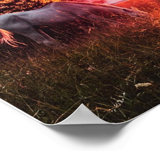 Poster Les chevaux sont des anges sans ailes (Coin)